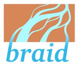 Braid logo