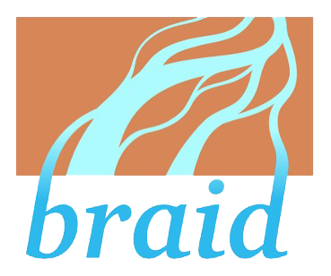 braid logo